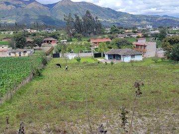Se Vende Casa en la Montaña en Cotacachi