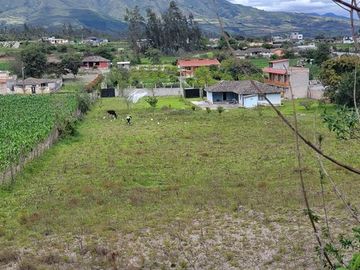 Se Vende Casa en la Montaña en Cotacachi