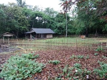 Beach front land in Kelecung Tabanan Bali