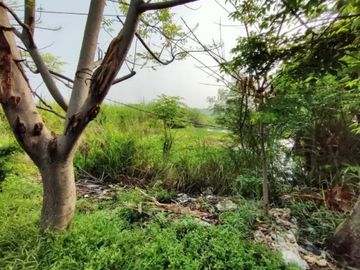 Tanah Jl raya lingkar timur (sebrang perum pondok buana)