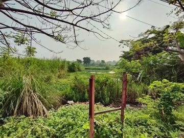 Tanah Jl raya lingkar timur (sebrang perum pondok buana)