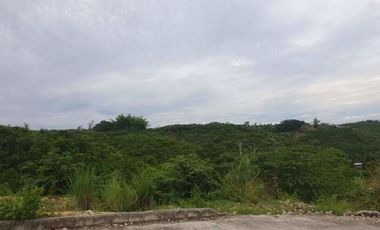 Affordable 208 SQM Lot for Sale in Vista Verde Consolacion Cebu near the Main Entrance