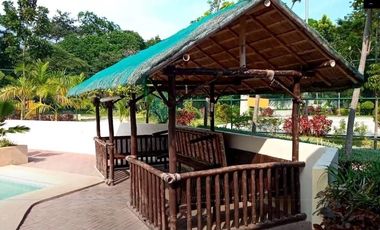 Affordable 208 SQM Lot for Sale in Vista Verde Consolacion Cebu near the Main Entrance
