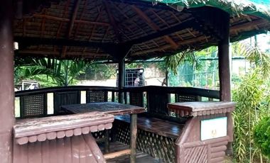 Affordable 208 SQM Lot for Sale in Vista Verde Consolacion Cebu near the Main Entrance