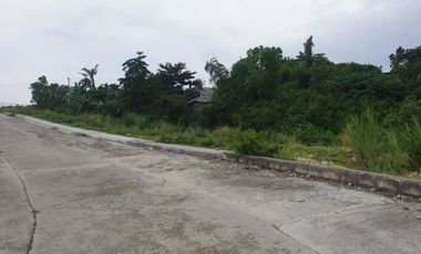 Affordable 208 SQM Lot for Sale in Vista Verde Consolacion Cebu near the Main Entrance