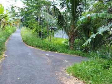 Tersedia Tanah Luas Murah di Hargobinangun, Pakem