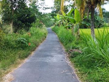 Tersedia Tanah Luas Murah di Hargobinangun, Pakem