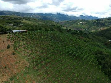 finca en venta en borrero ayerbe. Cod V12042
