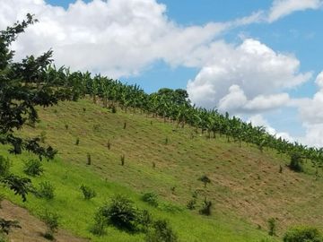 finca en venta en borrero ayerbe. Cod V12042