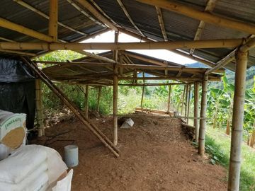 finca en venta en borrero ayerbe. Cod V12042