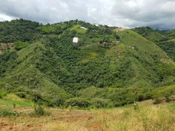 finca en venta en borrero ayerbe. Cod V12042
