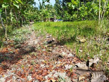 Rumah Murah lokasi Asri cocok untuk Hunian Masa Depan