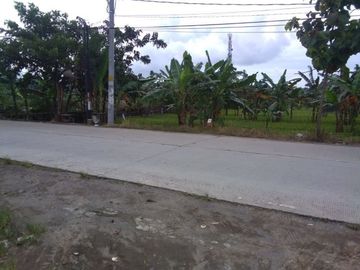 DIjual Tanah di Tembalang dekat Undip