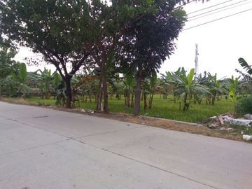 DIjual Tanah di Tembalang dekat Undip
