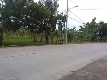 DIjual Tanah di Tembalang dekat Undip