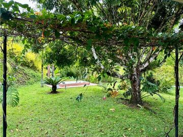 Casa campestre en venta vía Tebaida, Quindío