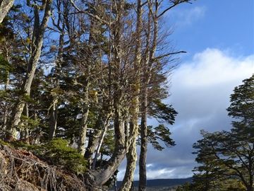 Parcela en venta en Punta Arenas