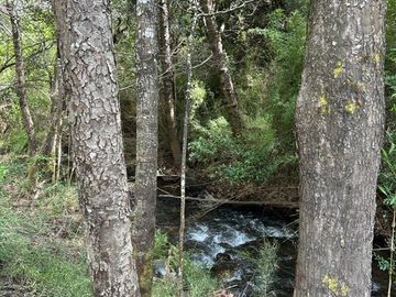 Sitio en Venta Recinto, Termas de Chillán