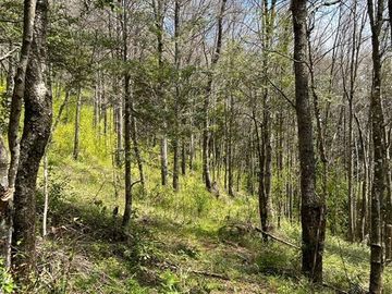 Sitio en Venta Recinto, Termas de Chillán