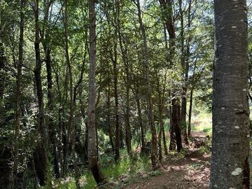 Sitio en Venta Recinto, Termas de Chillán