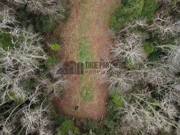 Parcela en venta en Frutillar