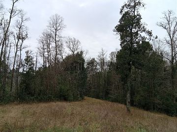Parcela en venta en Frutillar