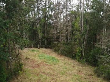 Parcela en venta en Frutillar