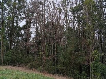 Parcela en venta en Frutillar