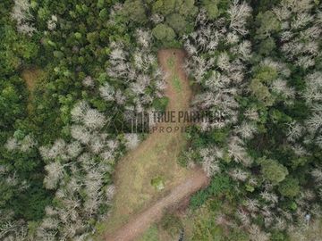 Parcela en venta en Frutillar