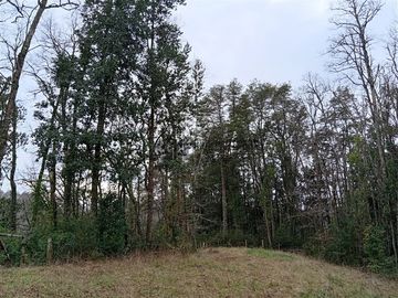 Parcela en venta en Frutillar
