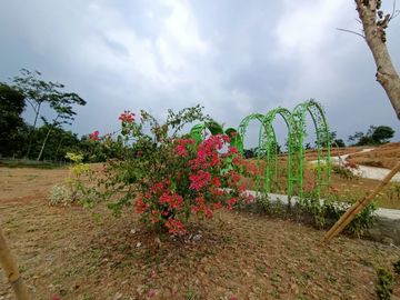 Dijual Tanah Kavling View Pegunungan di Tanjungsari Bogor