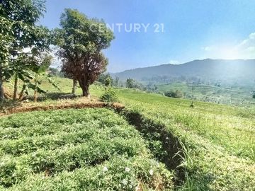DIJUAL TANAH STRATEGIS  DI NAGREK BANDUNG