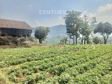 DIJUAL TANAH STRATEGIS  DI NAGREK BANDUNG