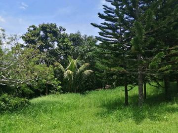 Farm Villa for Sale in Tagaytay City