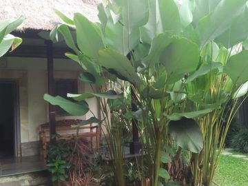 ORCHID VILLA