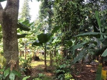 DIJUAL TANAH MURAH JATISAMPURNA BEKASI PINGGIR JALAN RAYA