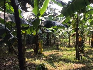 DIJUAL TANAH MURAH JATISAMPURNA BEKASI PINGGIR JALAN RAYA