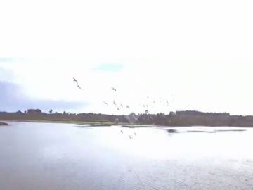 Sitio en venta en sector del Rio Ahinco en Puerto Montt