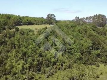 Sitio en venta en sector del Rio Ahinco en Puerto Montt