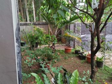 rumah dijual cepat tipe 200/285m pinggir jalan perigi