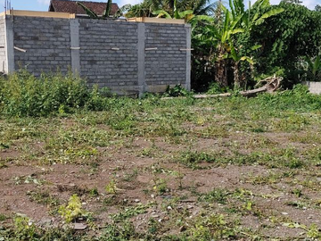 TANAH 10 ARE DI PANDAK GEDE TABANAN DEKAT NUANU
