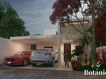 Botanico