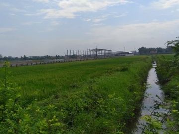 DIJUAL TANAH WRINGINANOM GRESIK
