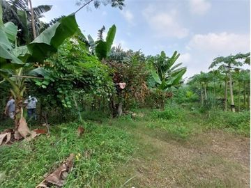 Tanah Luas Lokasi Terdepan Perumahan Elit Raffles Hills Cibubur