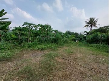 Tanah Luas Lokasi Terdepan Perumahan Elit Raffles Hills Cibubur