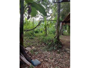 Tanah Luas Lokasi Terdepan Perumahan Elit Raffles Hills Cibubur