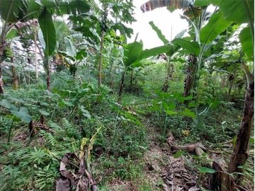 Tanah Luas Lokasi Terdepan Perumahan Elit Raffles Hills Cibubur