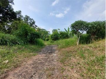 Tanah Luas Lokasi Terdepan Perumahan Elit Raffles Hills Cibubur
