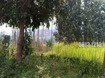 Dijual Tanah Cocok Buat Investasi di Megamendung Bogor - Tanah Dijual