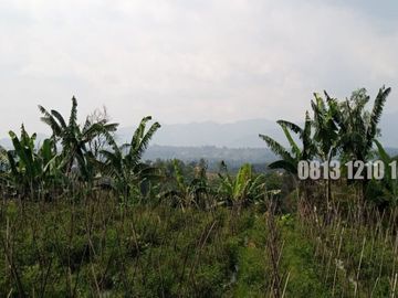 Dijual Tanah Cocok Buat Investasi di Megamendung Bogor - Tanah Dijual